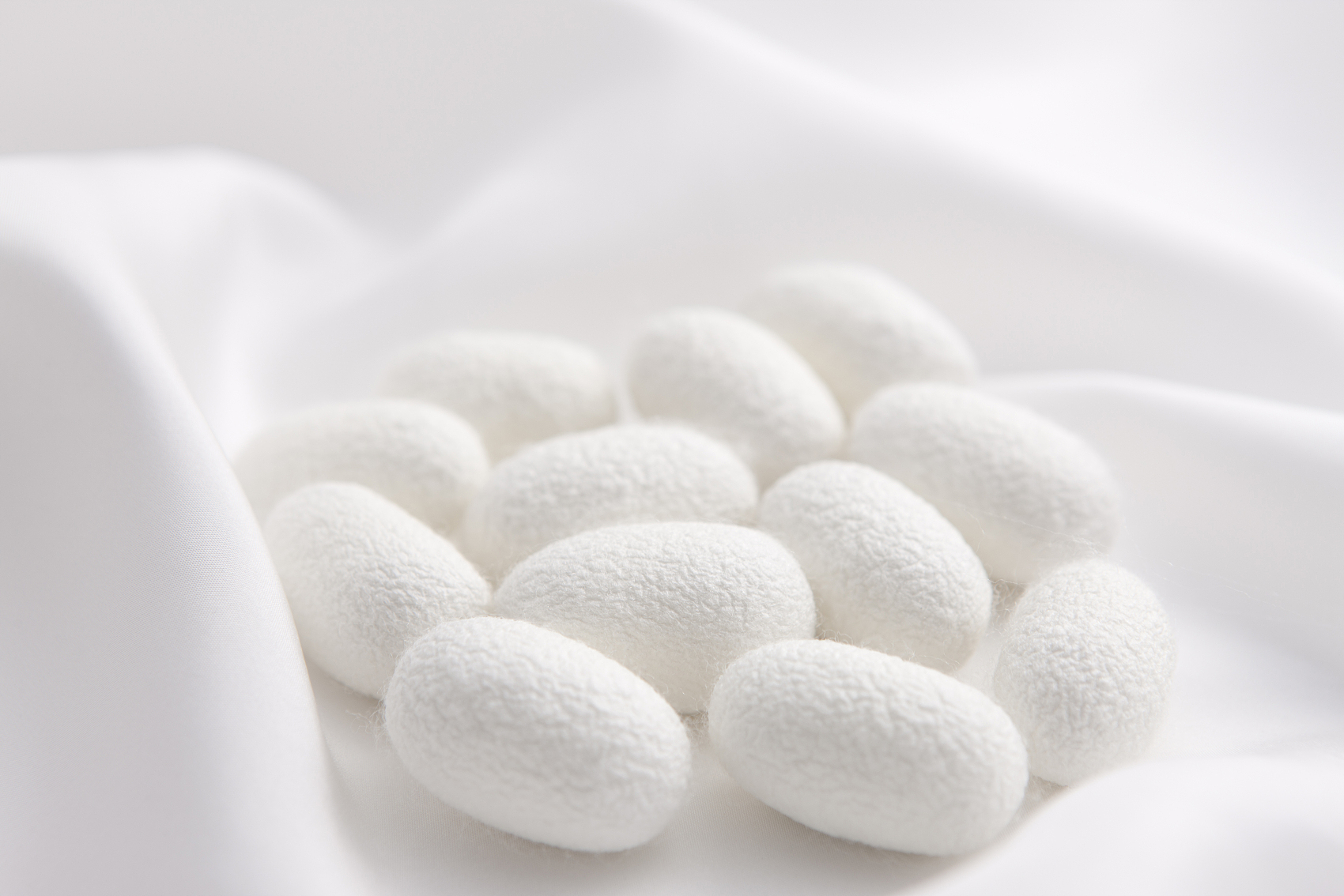 國家&ldquo;十四五&rdquo;重點布局領域 | 再生材料&mdash;&mdash;絲素蛋白