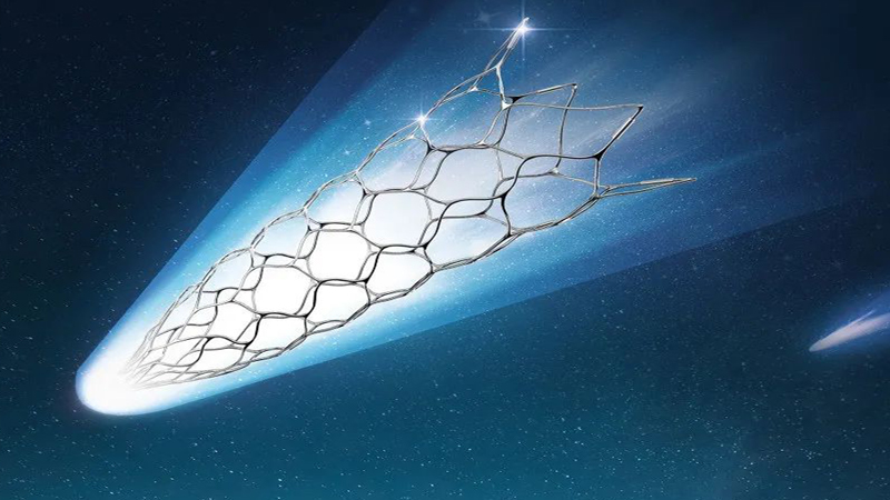 自膨式顱內藥物洗脫支架系統(tǒng)（利蘭生物）